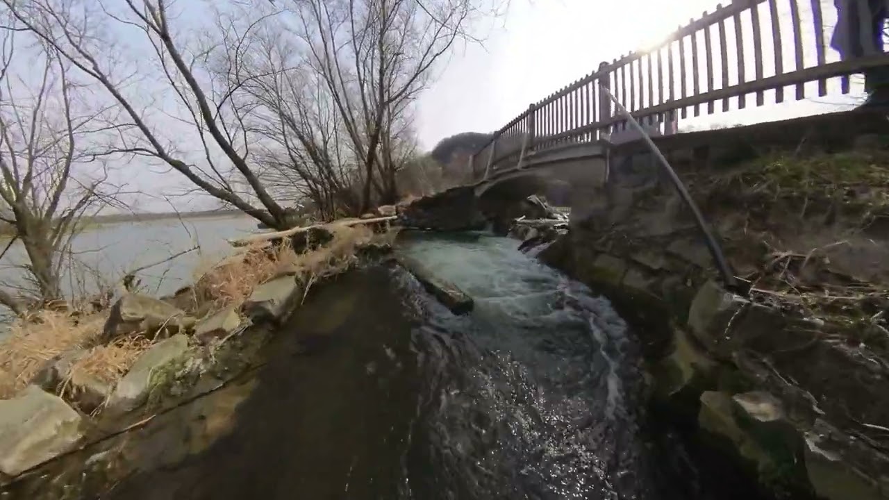 Wanderung von Korneuburg nach Stockerau mit einer kleinen Runde um den Donau-Altarm. 21Km.