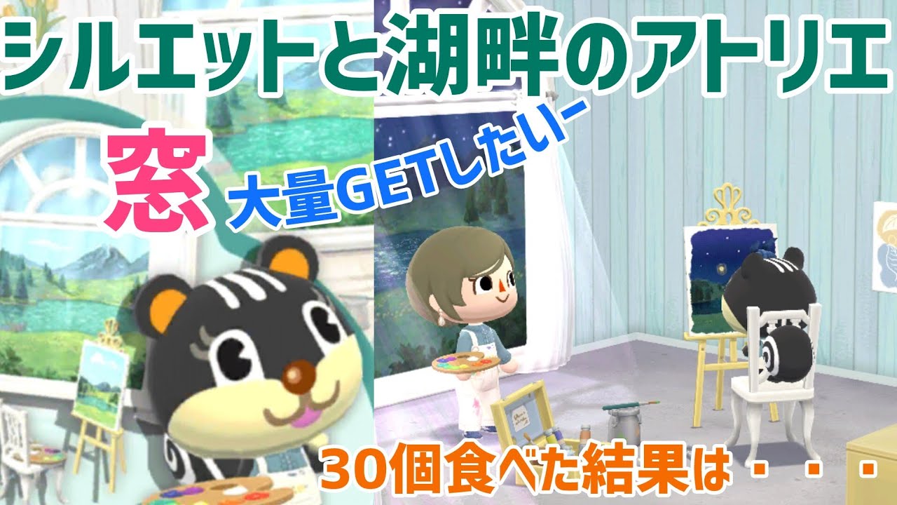 【ポケ森】新車購入!!もう何にも当たりたくないけど、このクッキーの方は絶対窓当てたいよー