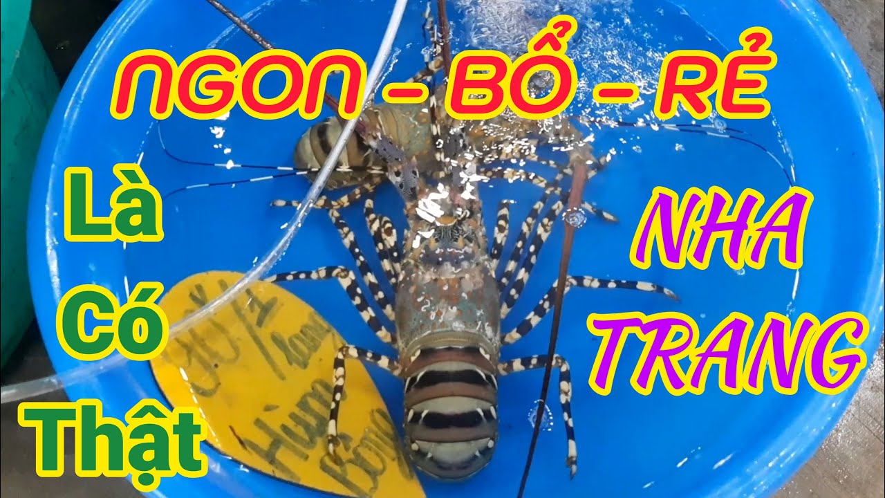 Bất Ngờ PHÁT HIỆN Quán Hải Sản Ở NHA TRANG Chứng Minh Cho Câu Nói 