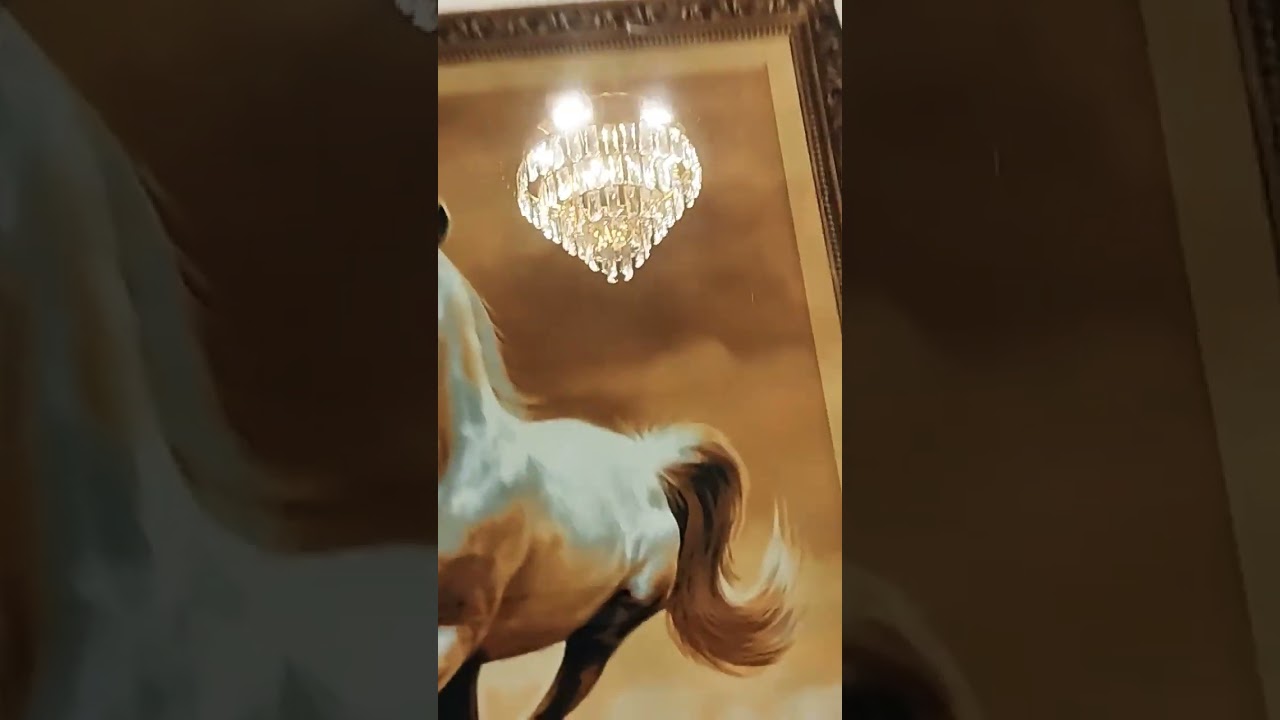 creative video 