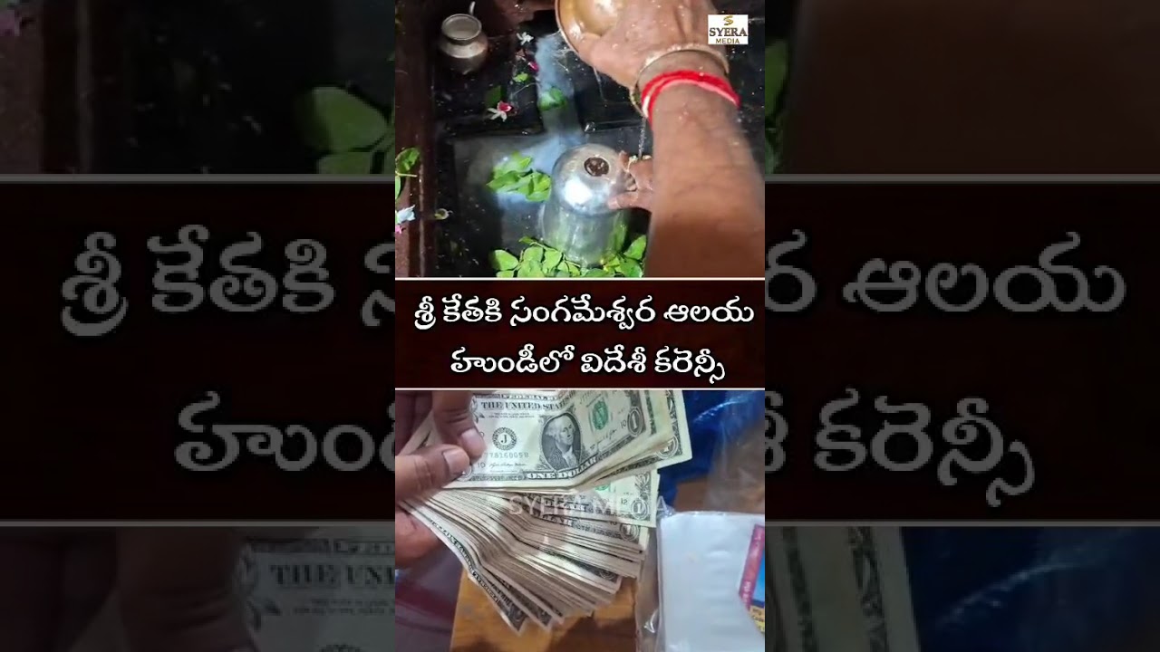 52 US Dollar Notes Found in Hundi Counting at Sri Kethaki Sangameshwara Swamy Temple Jarasangam