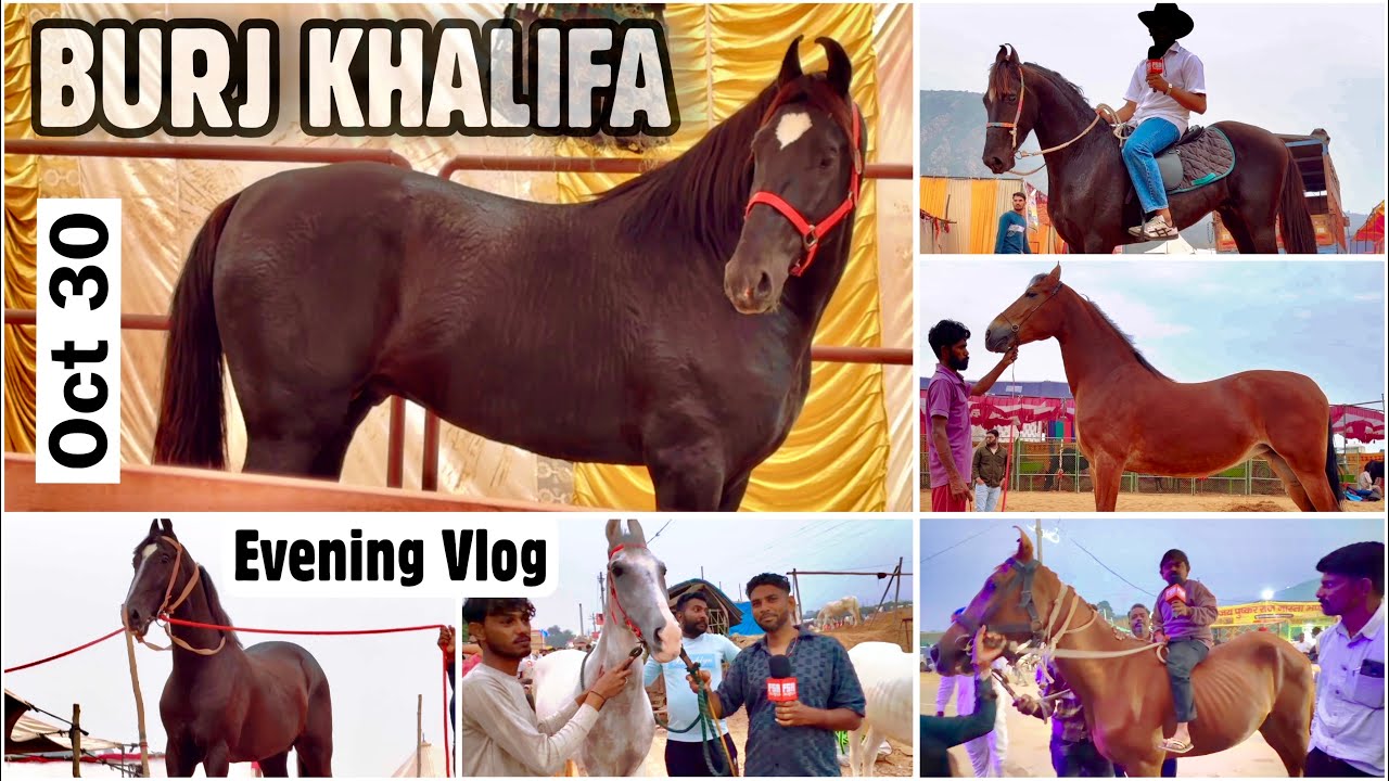 Pushkar Mela 2025 Oct 30 Evening Vlog | Burj Khalifa, Kuku & Kisaan Ghoda Mandi