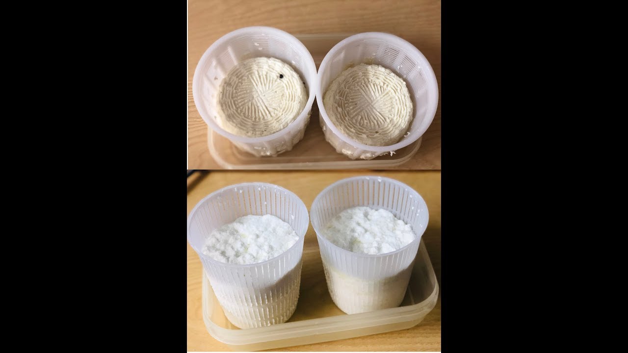 FORMAGGIO E RICOTTA DI PECORA
