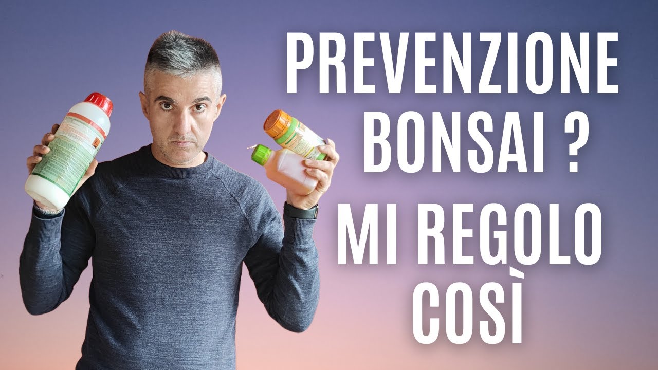 COME FARE PREVENZIONE in AUTUNNO sui BONSAI