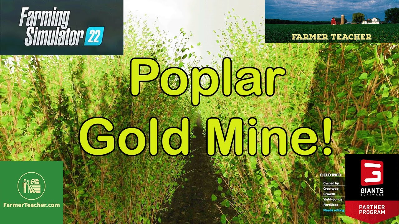 Is Poplar the Most Profitable Crop? #farmingsimulator22