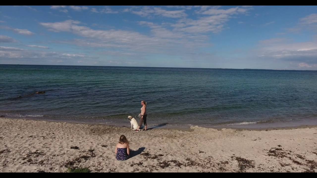 Dänemark 2016