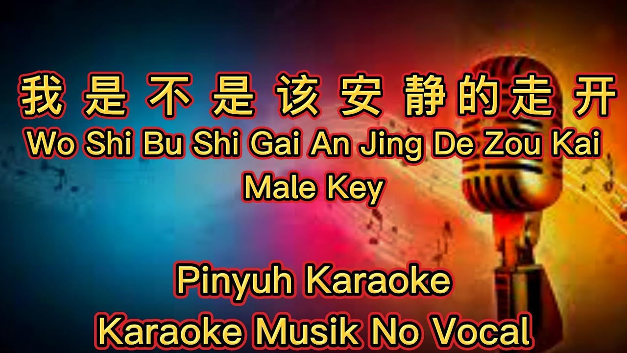 Wo Shi Bu Shi Gai An Jing De Zou Kai - 我是不是该安静的走开 -  Karaoke -  Musik No Vocal