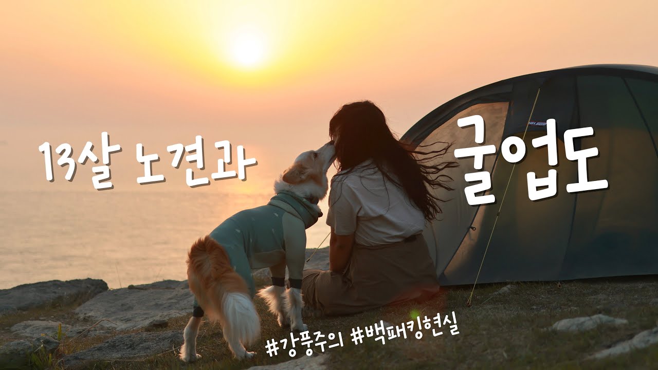 13살 강아지와 단둘이 백패킹 성지에서 하룻밤 | 굴업도 솔로캠핑