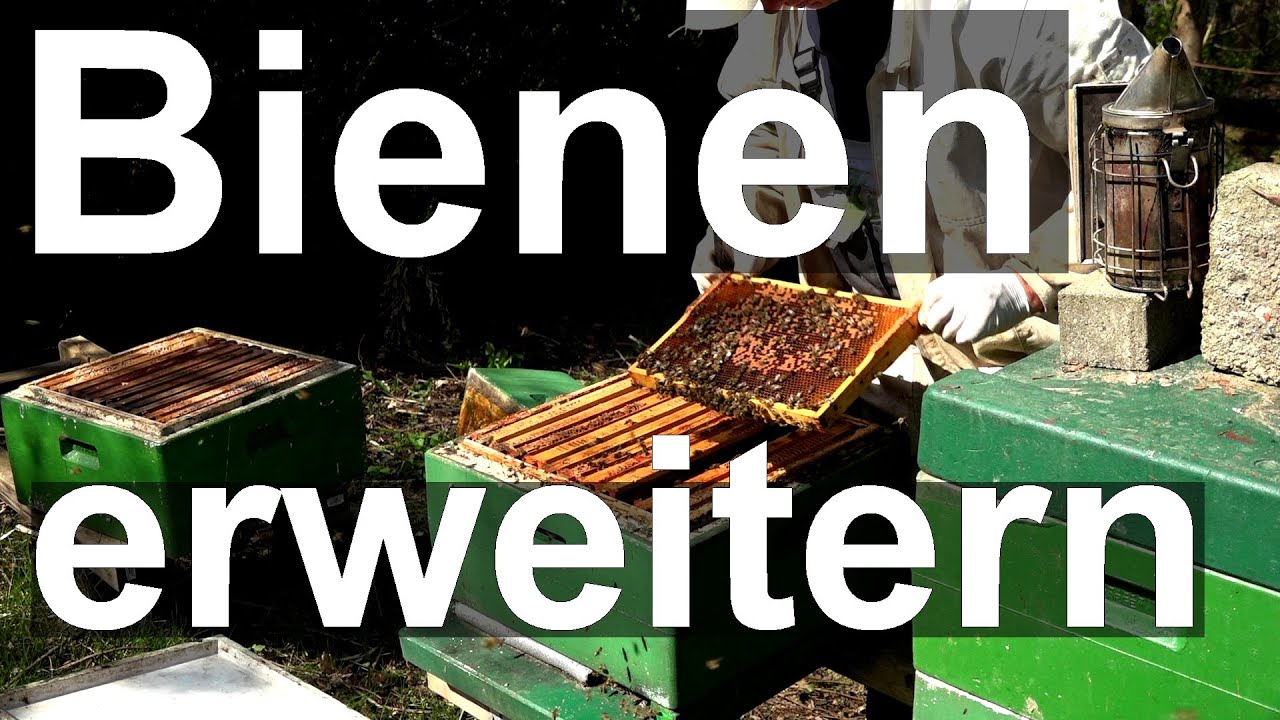 Bienen - der große Eingriff Mitte April: Absperrgitter, Segeberger, Frankenbeute und Mini Plus