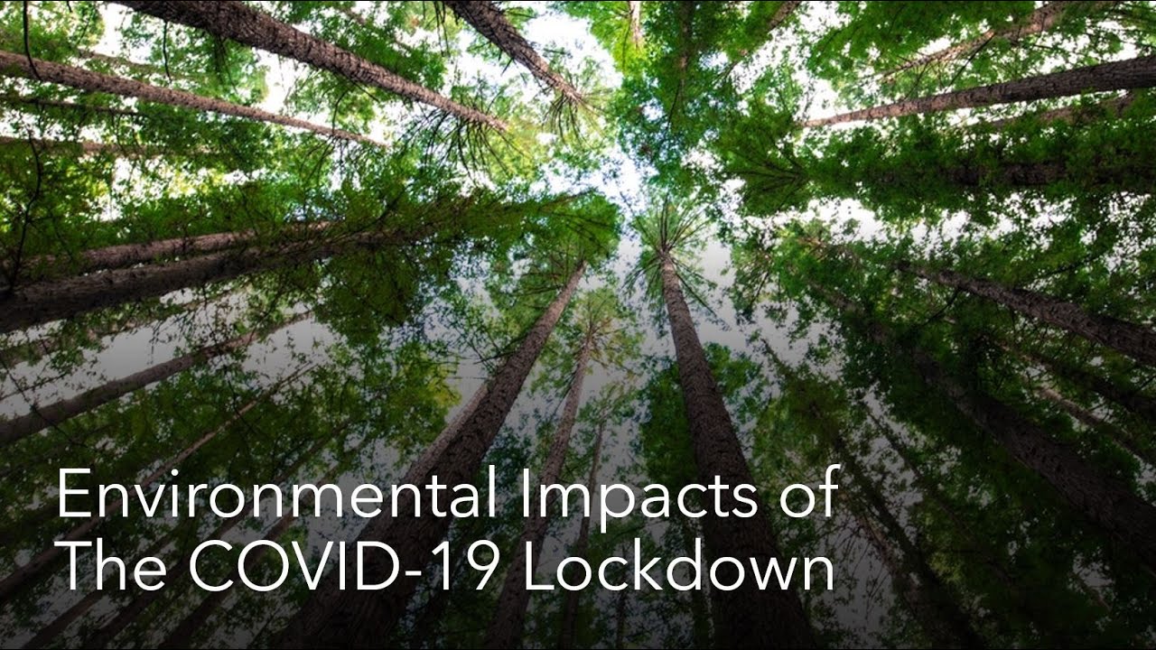 The Environmental Impacts of The COVID-19 (Coronavirus) Lockdown