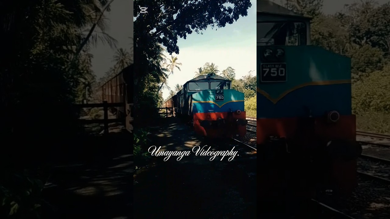 Class M4 🎗️Kandy to Beliaththa train ?🚂.
