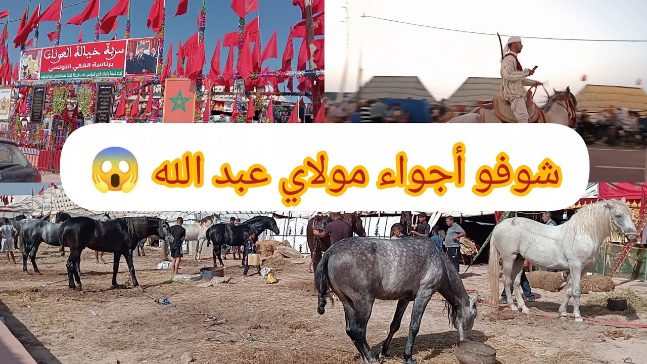 أجواء الصباح الساحرة😁 قبل انطلاق التبوريدة 🐴في موسم مولاي عبد الله أمغار بدكالة 2025💥🇲🇦