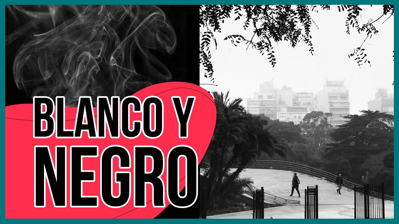 Fotografía Blanco y Negro - ¡Todo lo que queres saber!