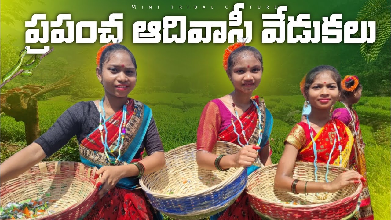 World Tribal Day celebrations || unique tribes festival || Manyam Seethampeta #tribes