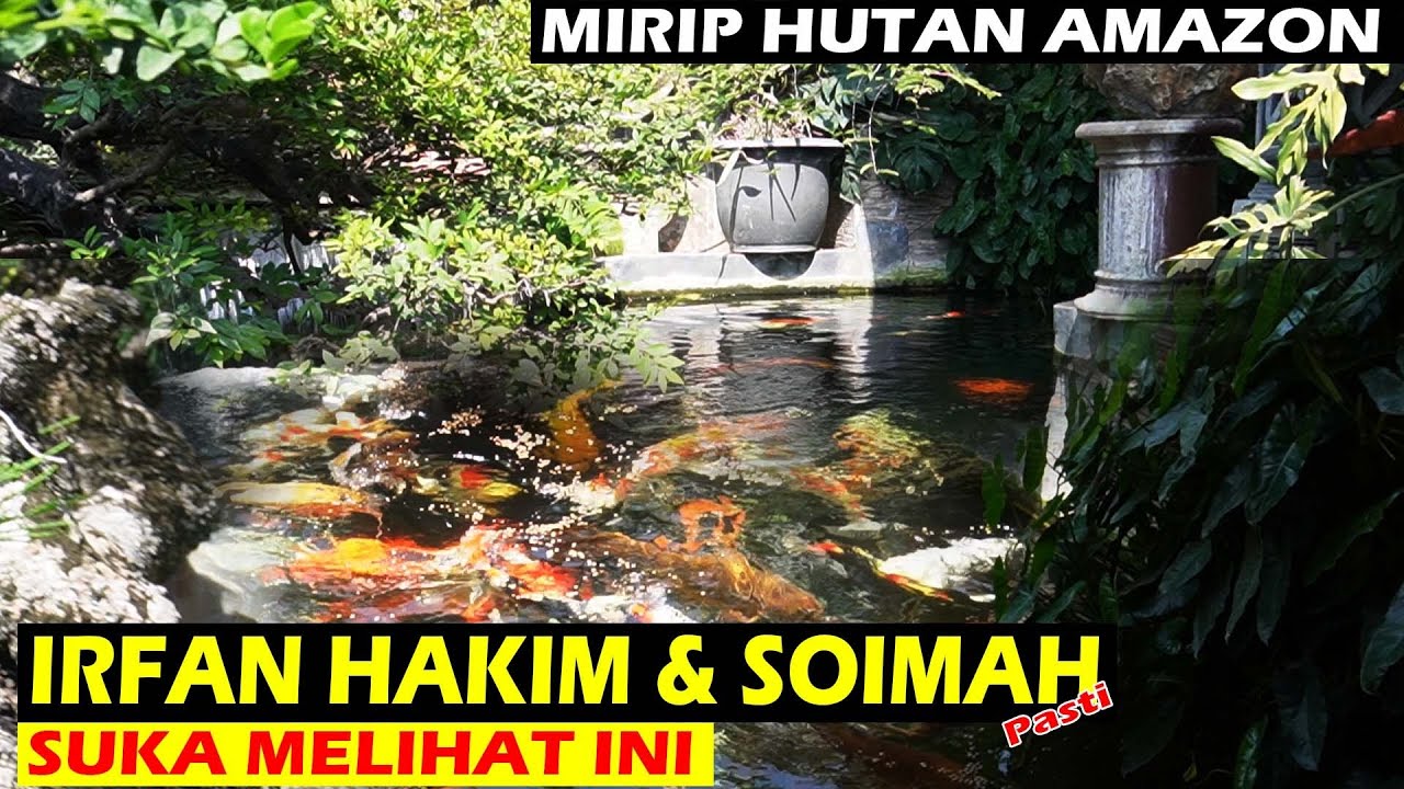 KOLABORASI KOI x BONSAI, bikin auto betah banget
