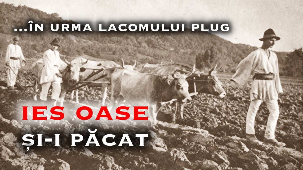Noi vrem pamant! - George Cosbuc | Poezie audio