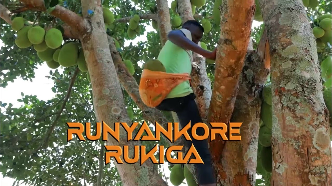 NTWAARE AGOOHA part 1 by Green Purse Uganda. Rwamwanja, Kamwenge district.