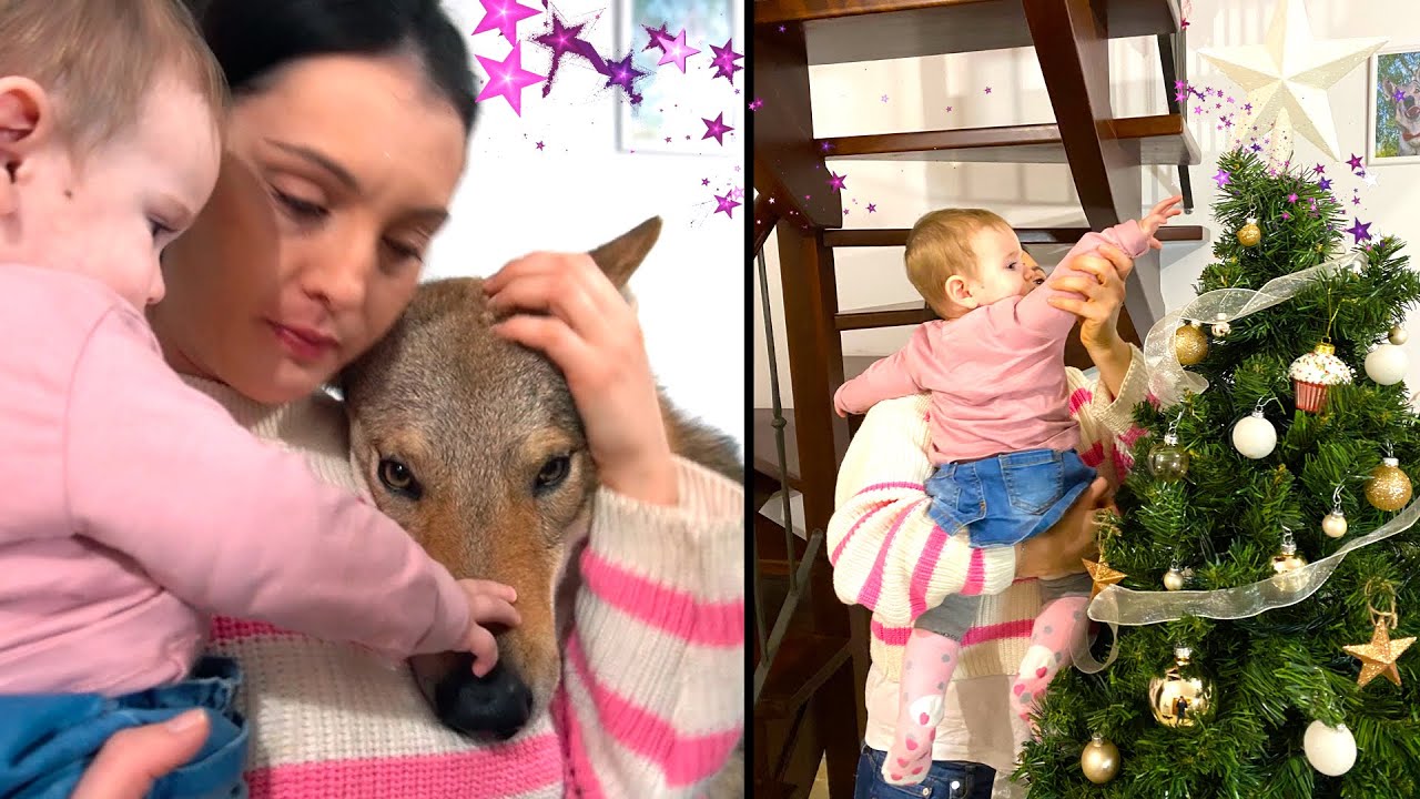 Il primo ALBERO di NATALE DI GINNY 🎄 - #2 Vita da Dog Family