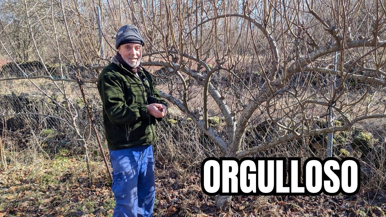 Las podas más impresionantes de mis frutales