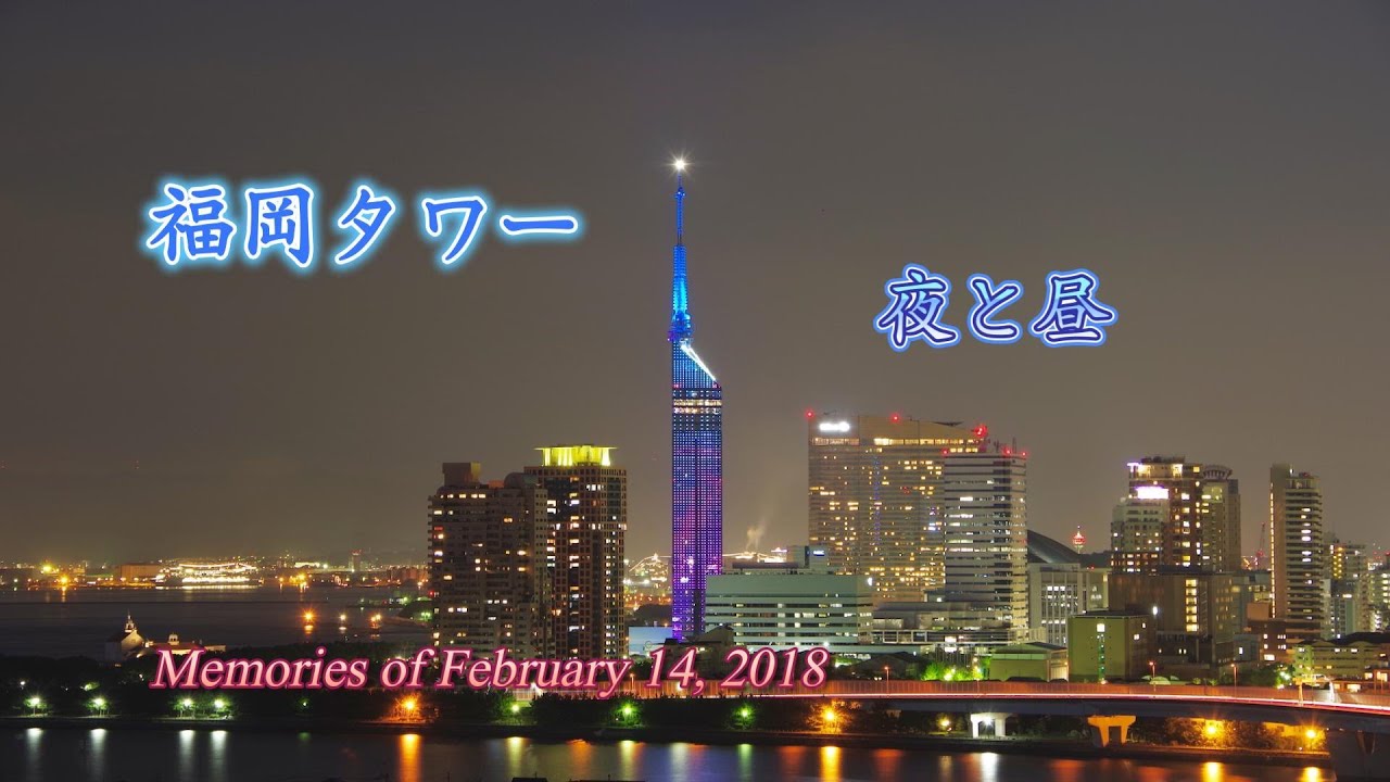 福岡タワー　絶景