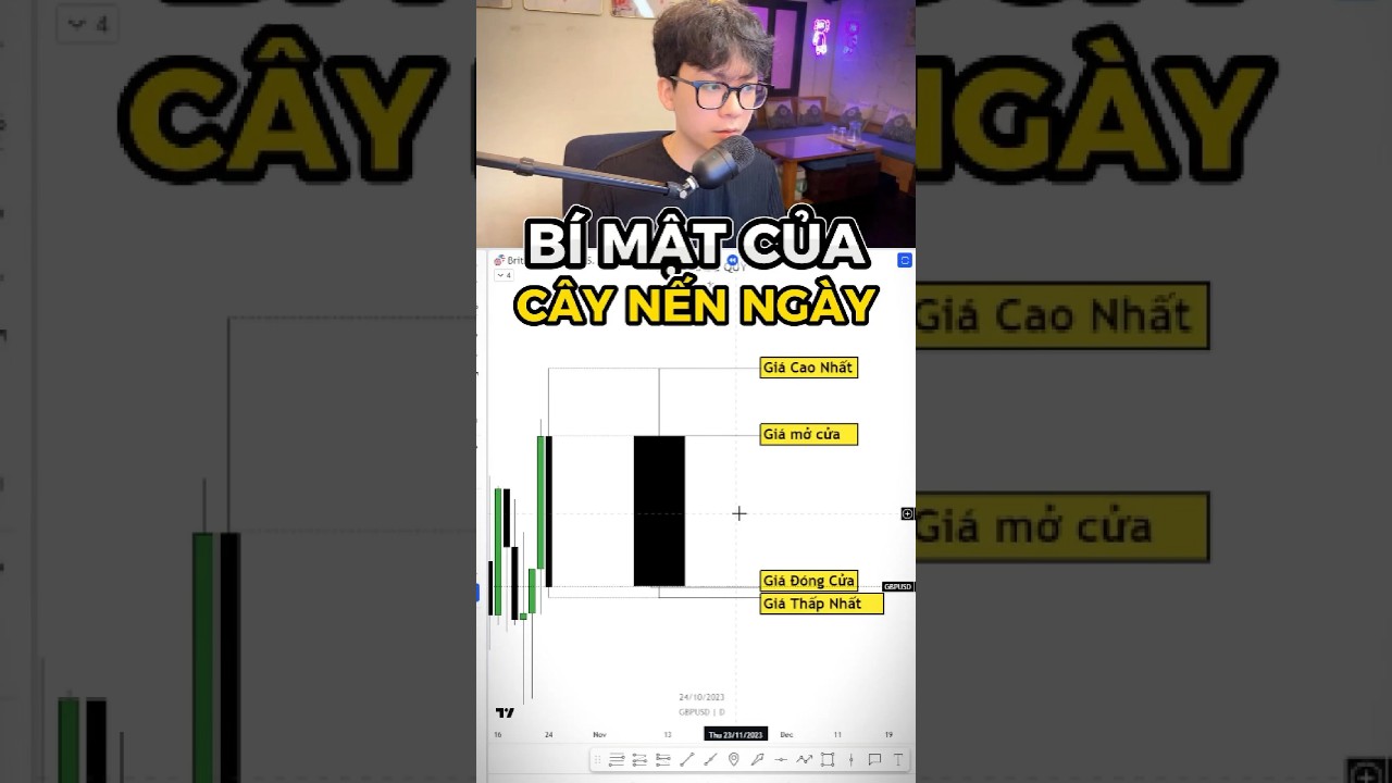 B&iacute; Mật Ẩn Trong C&acirc;y Nến Ng&agrave;y #hoctradequy #trading #tradequy #forex #ict #learning