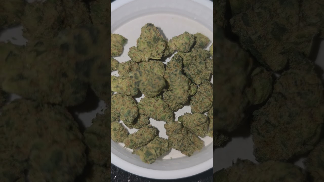 Master Kush cannabis