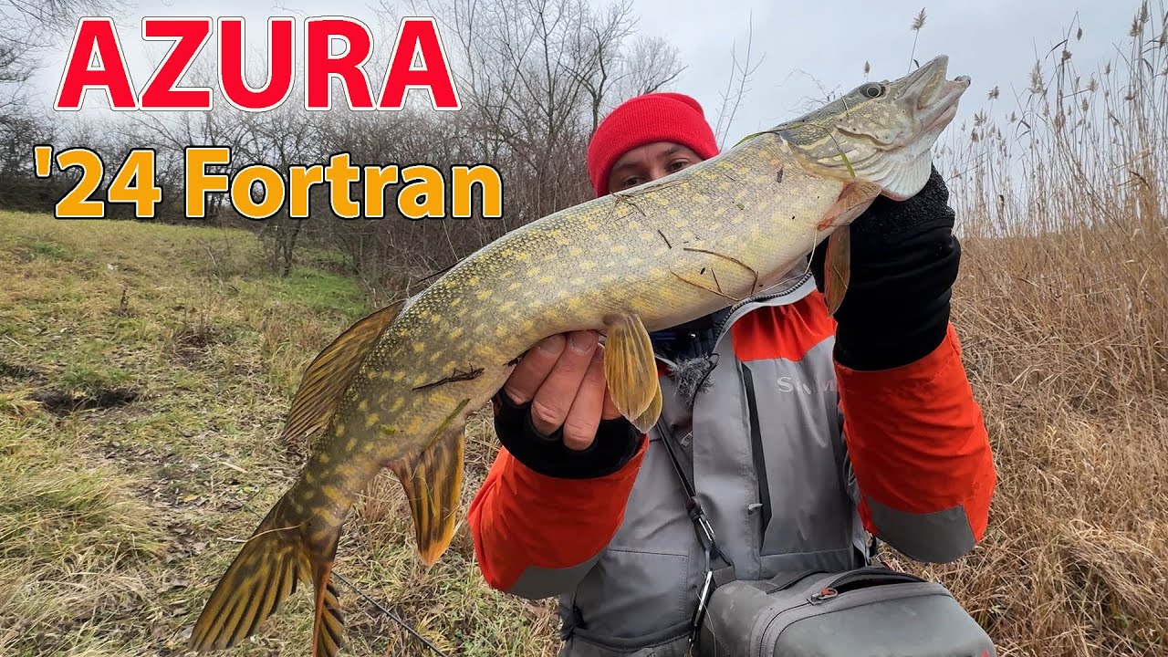 Azura '24 Fortran 83M спінінг на ЩУКУ ОКУНЯ і СУДАКА