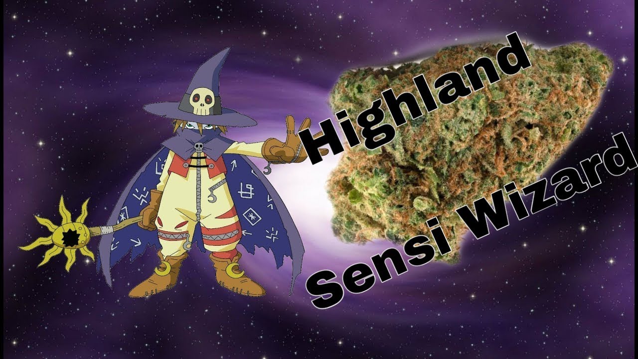 Sensi Wizard - Highlands one take review