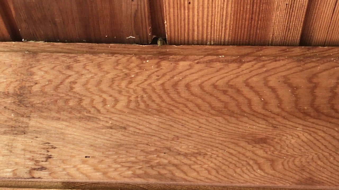 Wasp Nest Removal In Denham Uxbridge UB9  - 020-8848-1254 For Wasp Control