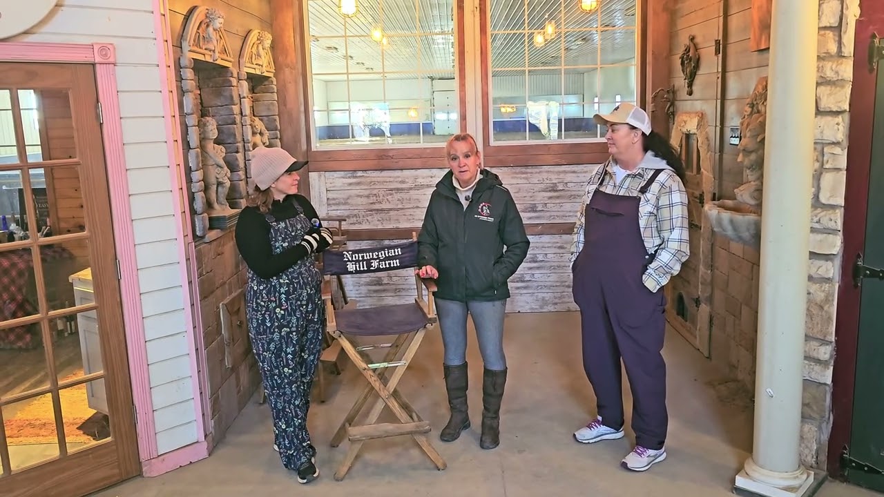 Лучшие друзья посещают Norwegian Hill Farm | Barn Besties