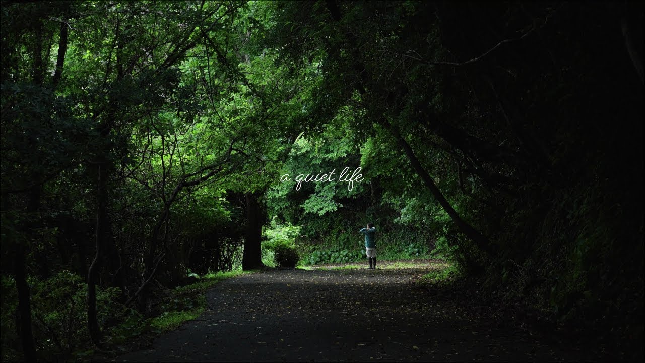 a calm playlist for reading, studying or writing