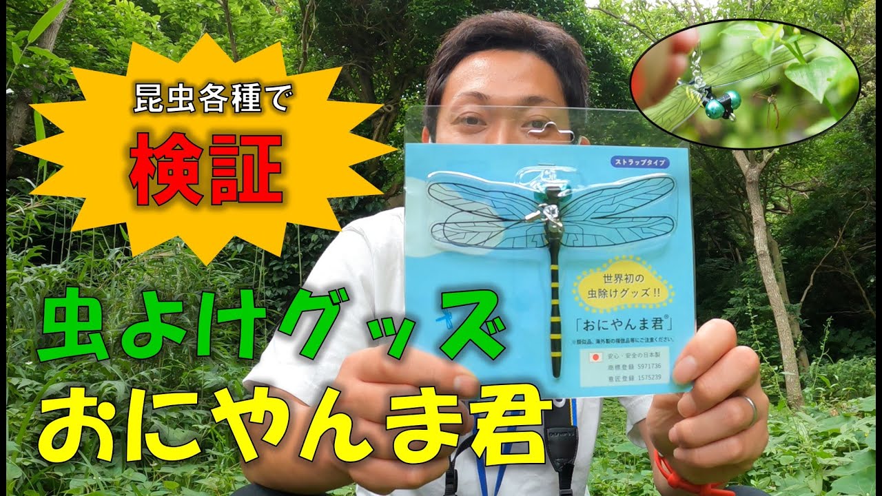 虫よけグッズ「おにやんま君」の効果を昆虫各種で検証してみた