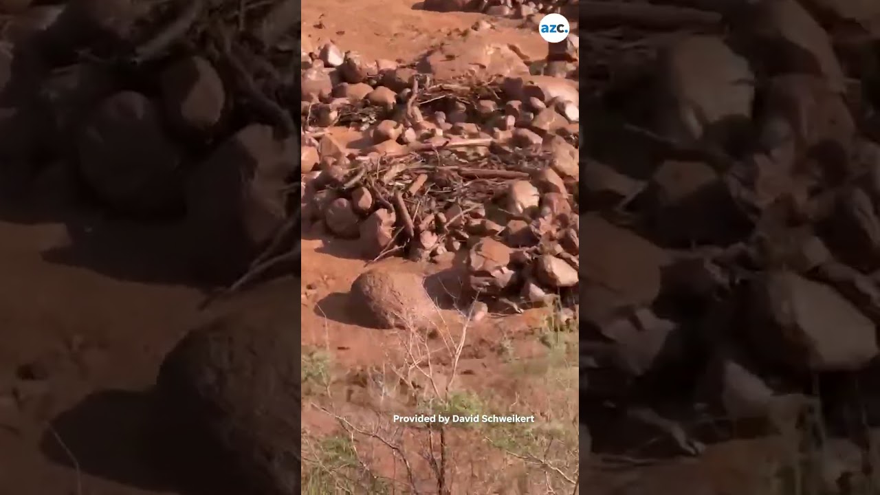 Grand Canyon flash flood led to about 15 people unaccounted for