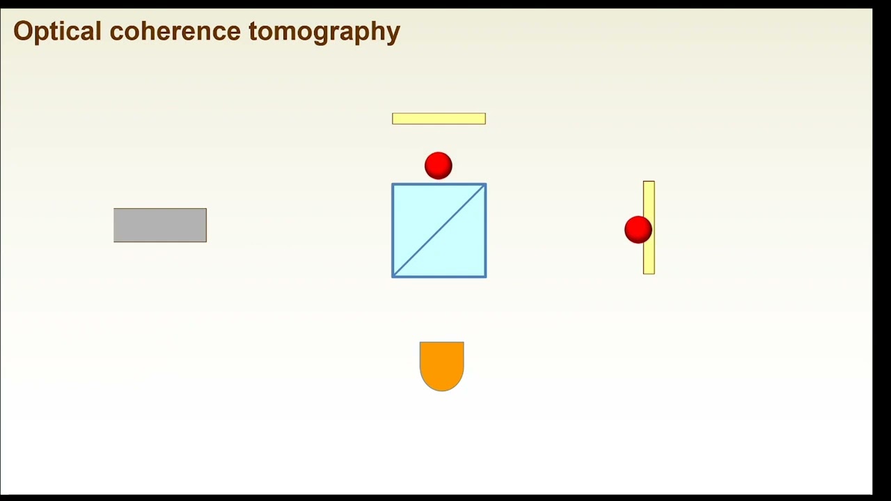 Fundamentals of Optical Coherence Tomography #1: Principles of OCT