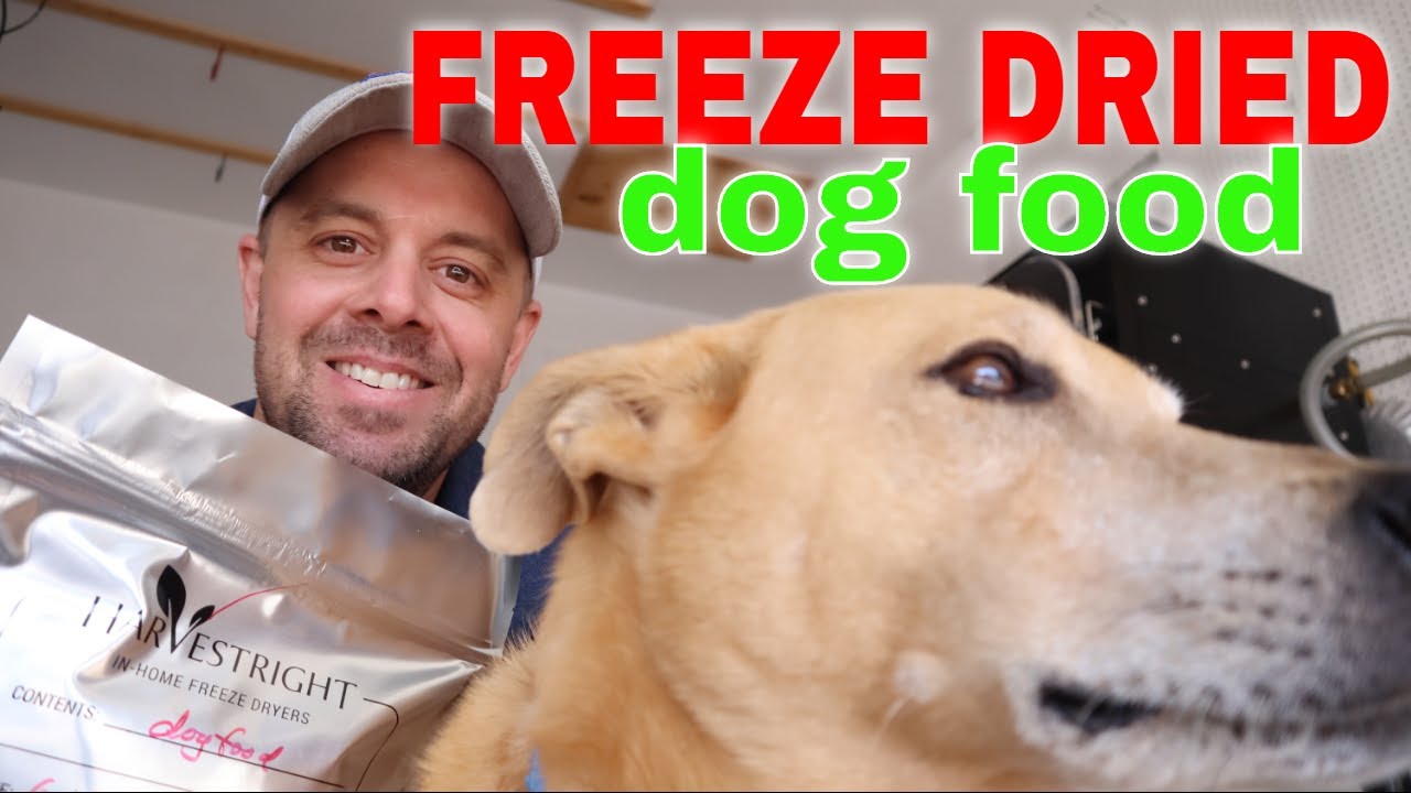 РЕЦЕПТ СУБЛИМИРОВАННОГО КОРМА ДЛЯ СОБАК — Домашний против покупного #freezedrieddogfood