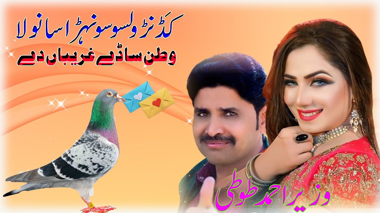 Watan Sade Ghareeban De || Wazeer Ahmad Toti || 2025 || Waseeb Production