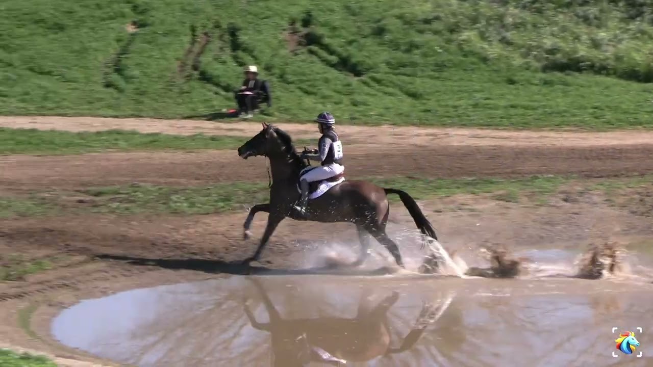 Bec Braitling (MBF Braxy V) - Twin Rivers Winter H.T. February 2026 - Preliminary - Cross-Country