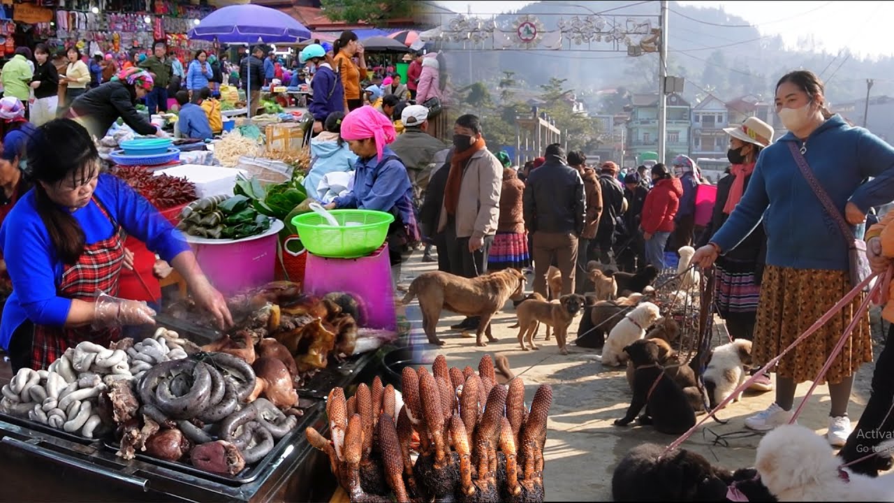 SỐC! Bac Ha Market Vietnam – Ẩm Thực Dân Tộc Cực Lạ, Món Ăn Núi Rừng Khiến Du Khách Mê Mẩn