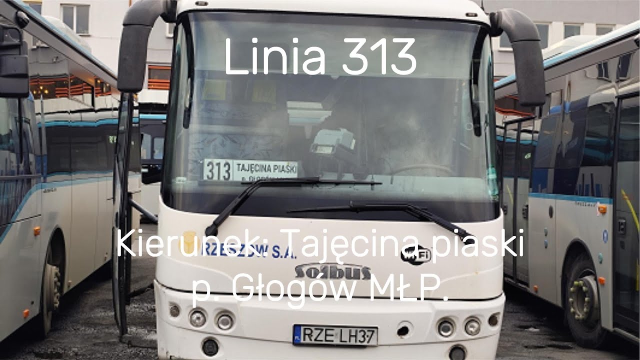 313 Tajęcina piaski p. Głogów MŁP.