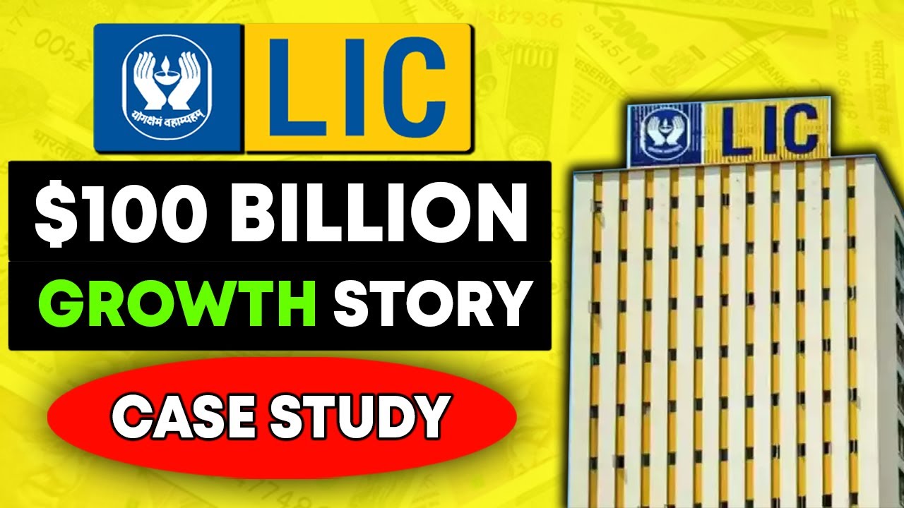 Зачем была создана компания LIC? Как она стала такой крупной? Пример из практики.