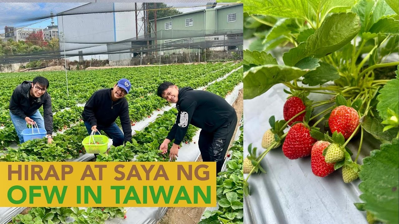 Mga Business Opportunities na Nakikita nila sa Taiwan na Pwede Gawin sa Pinas pag For Good na!