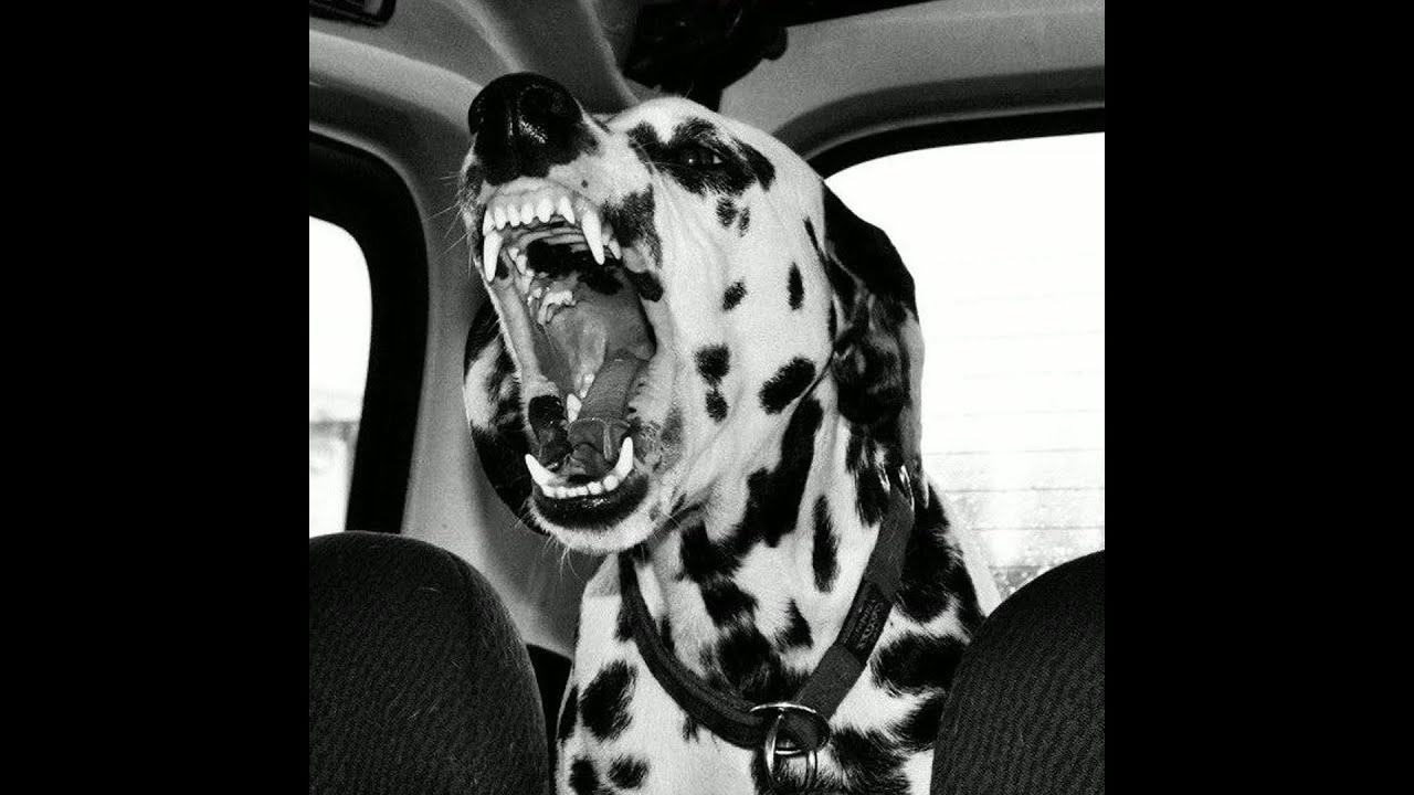 [FREE] BABY KEEM x CA$INO TYPE BEAT - 