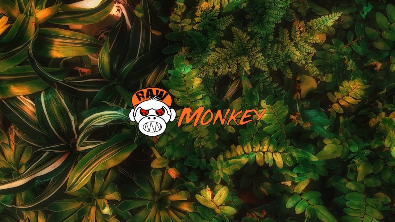 MIXTUREZ - XTC (MELODIC RAW) [MONKEY TEMPO]