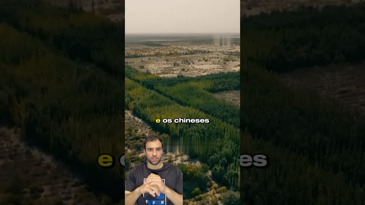 Os chineses est&atilde;o plantando florestas no deserto!