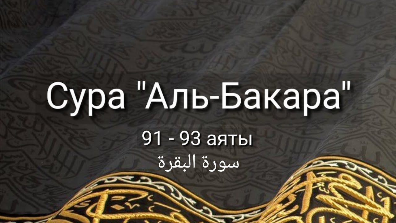 Выучите Коран наизусть | Каждый аят по 10 раз 🌼| Сура 2 