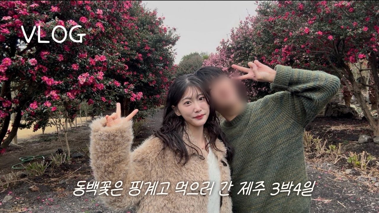 Vlog_ 동백꽃은 핑계고 먹으러 간 제주 3박4일 🌺🍊 제주도 돈카츠+롯데리아+서귀포뽈살집+고찌올레 보말칼국수+과일모찌+동백꽃 위미리3760+솔옆수+비밀의숲+흑돼지+순천미향