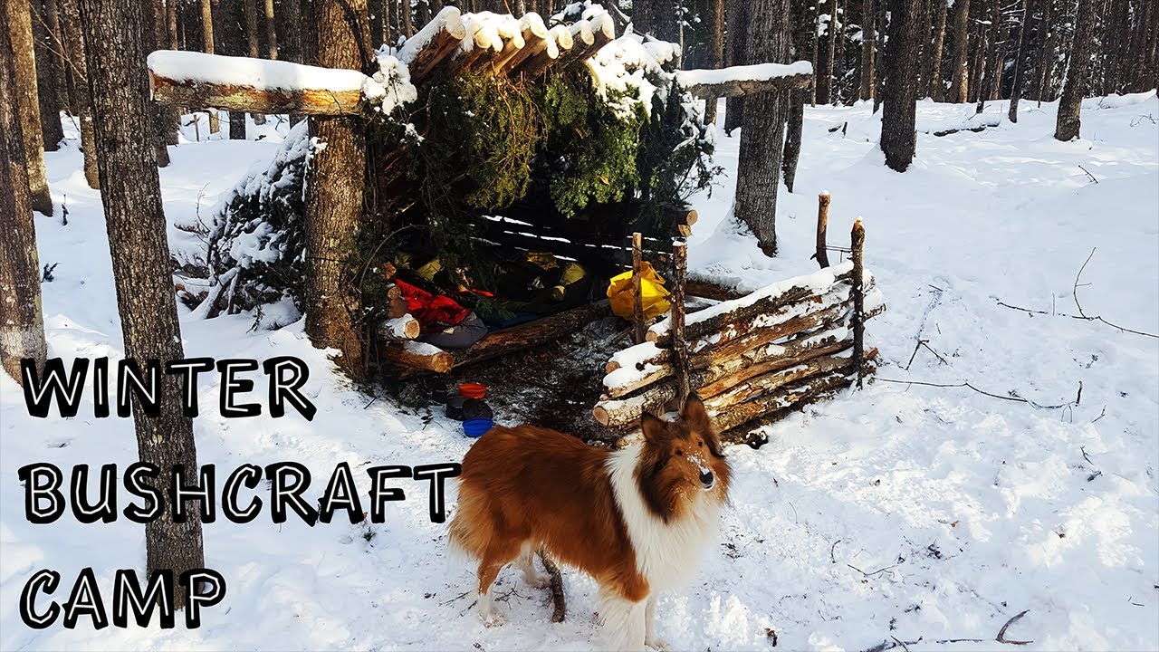 Winter Bushcraft Camp with my Dog - Building a Lean-To