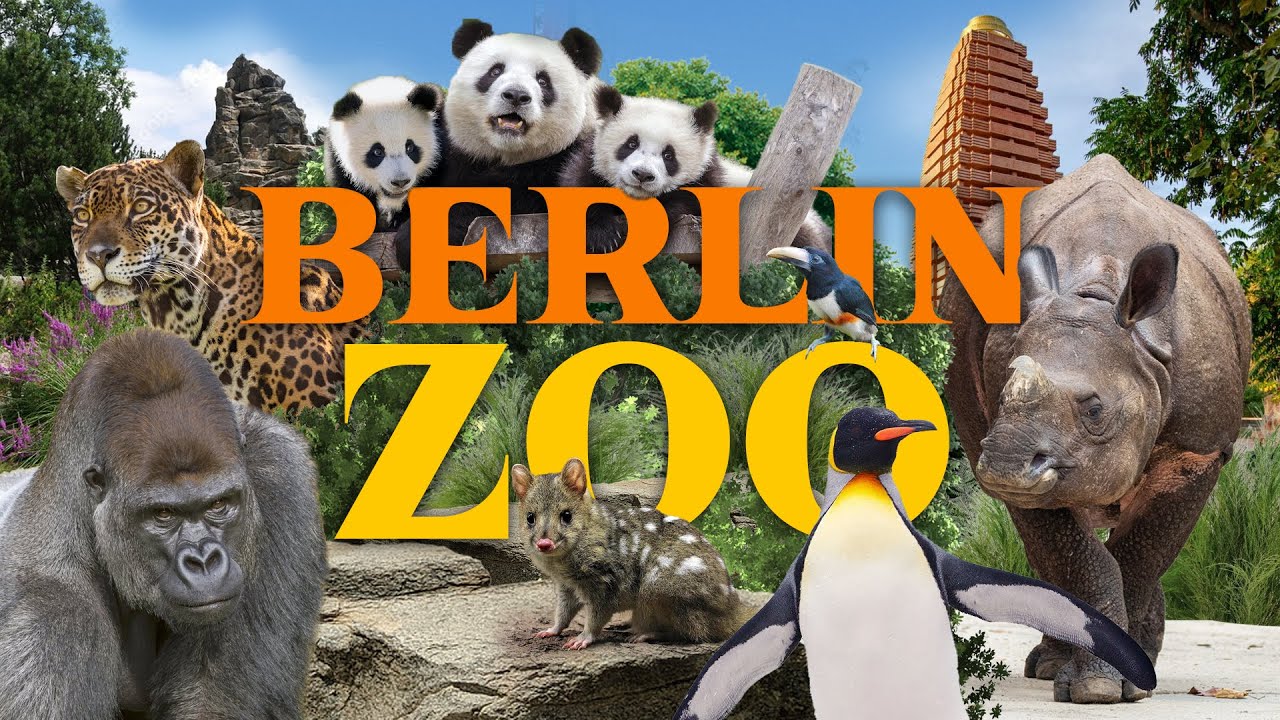 Can Germanys oldest Zoo still hold up? | Berlin Zoo Review