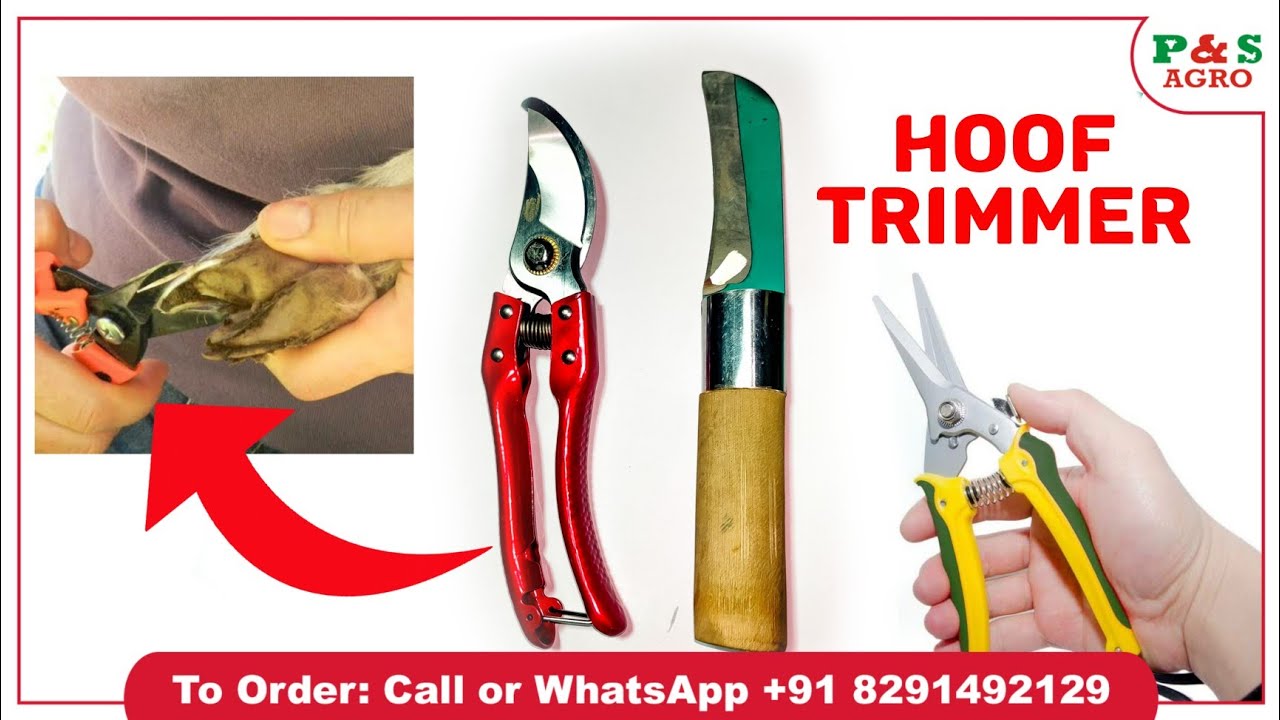 Hoof Trimmer / Khur Cutter for Goats, Sheep & Cattle