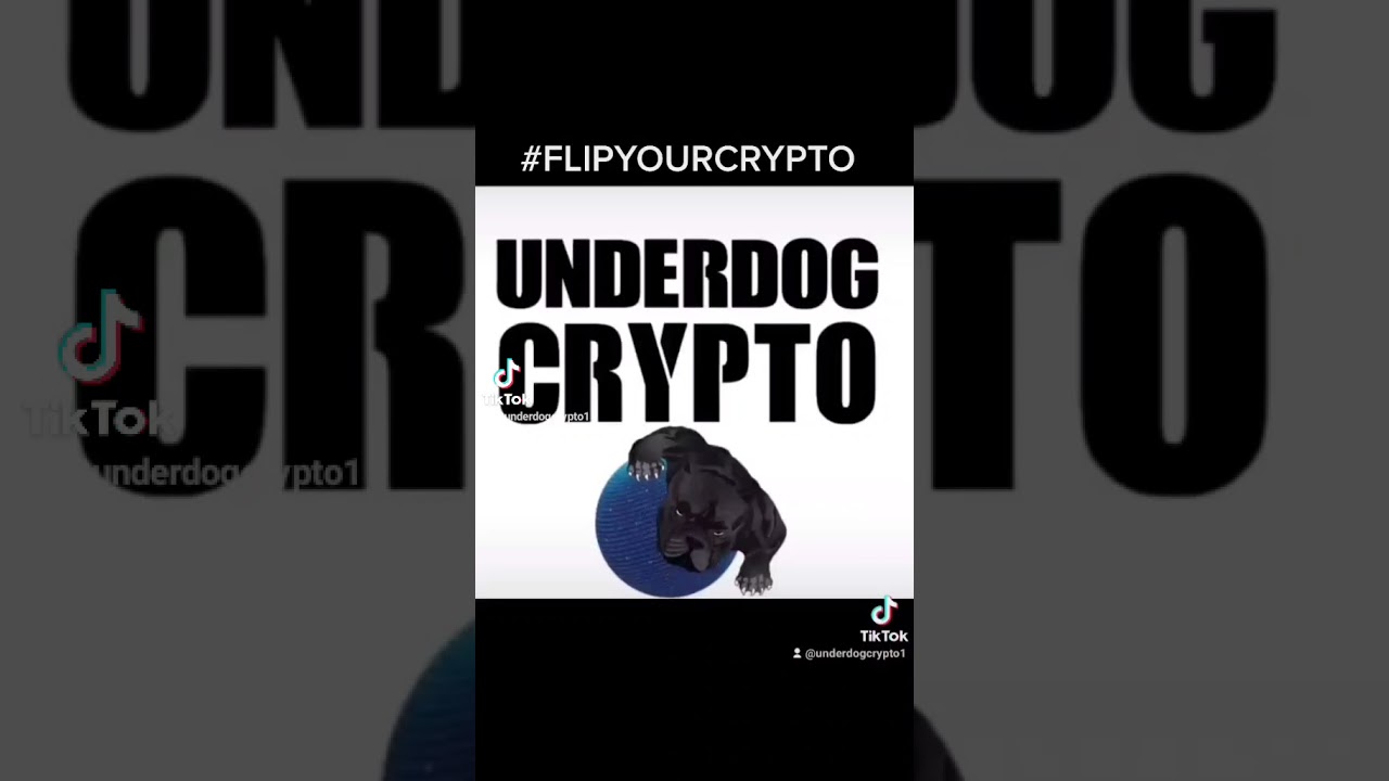 Underdog Crypto: I bought Trillions then this happened 133% Gains [1 Week Later]